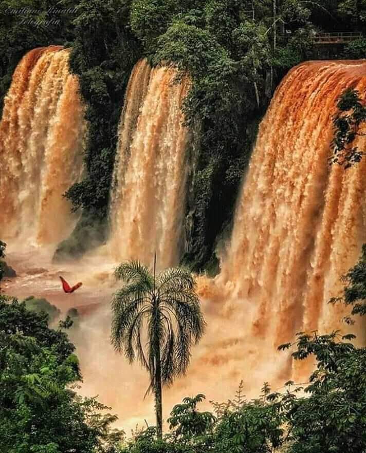 Cataratas Argentina - Image 4