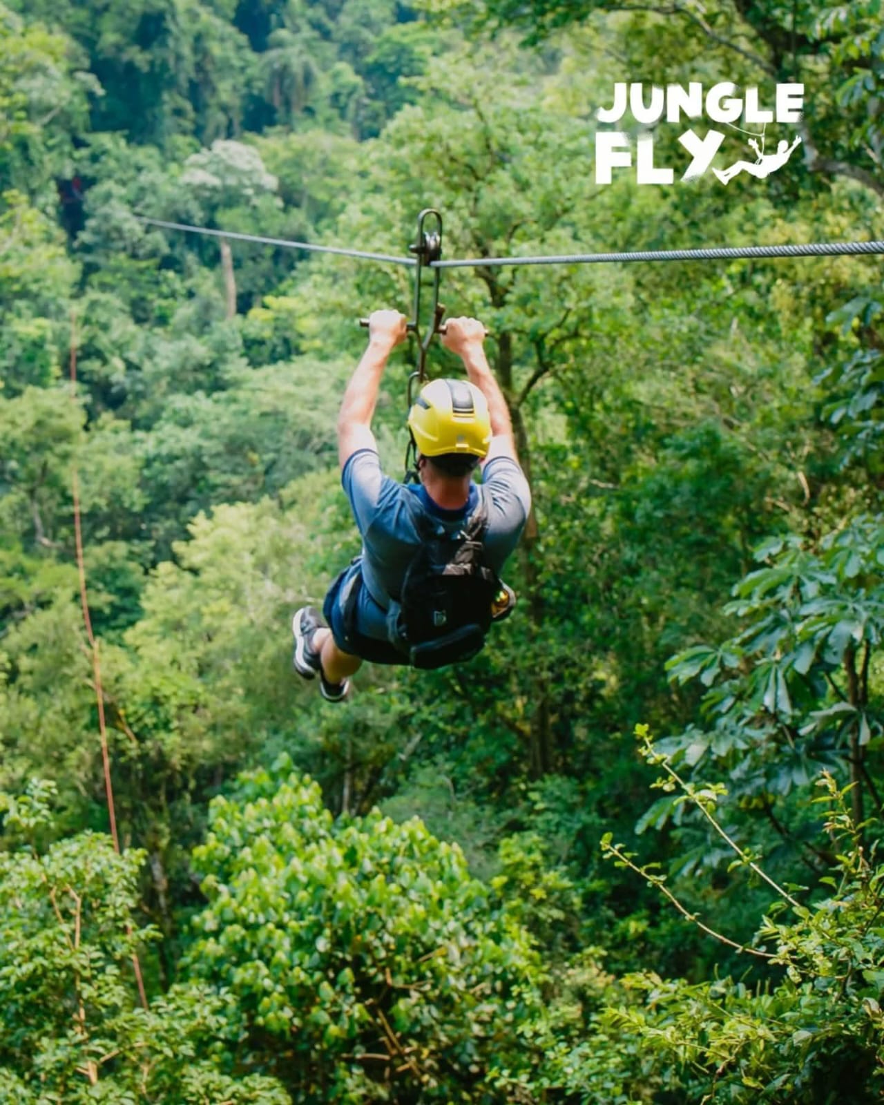 Jungle Fly - Image 2